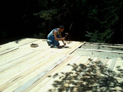 Снимка  от todor todorov