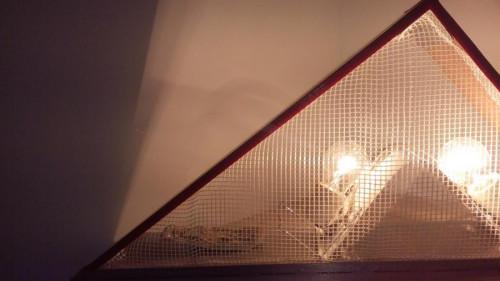 Снимка  от Евелина Тодорова