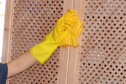 Домашна помощница Варна