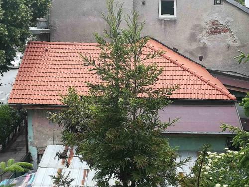 Основен ремонт на покрив