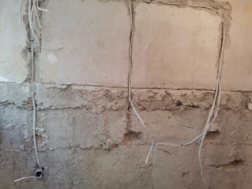 122813741_974983826244848_1358519925036851089_n