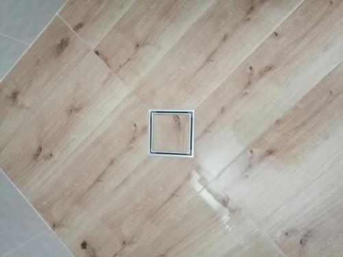 inbound8453418006127578434