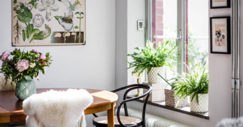 Уютен интериор с помощта на растения