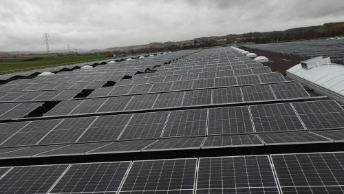 IMG-d130023333d1340ff91d9db397d499a4-V