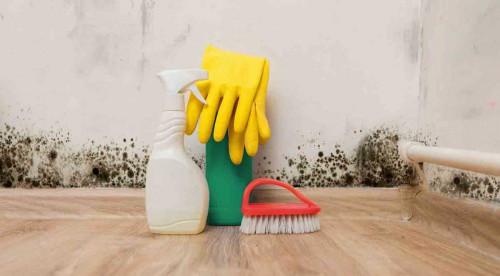 Как ефективно да премахнем мухъл от дома