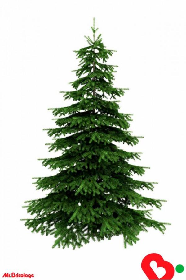 Без елха не може…