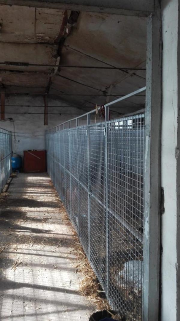 клетки за кучета