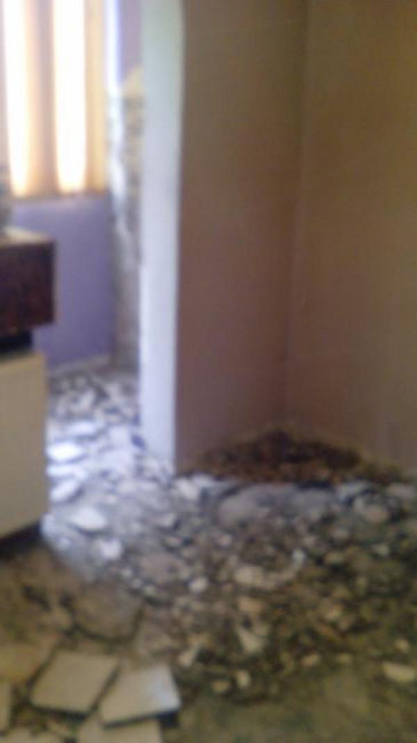 Снимка  от Plamen Popov