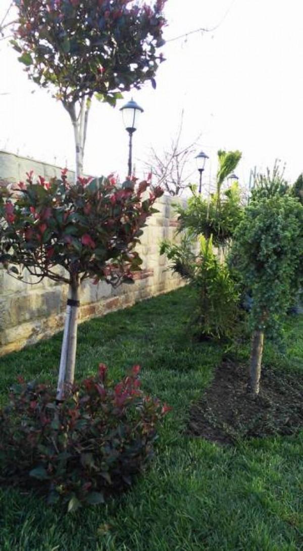 Снимка  от Добрин Захариев