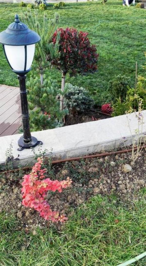 Снимка  от Добрин Захариев