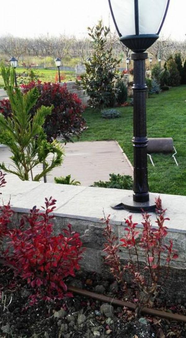 Снимка  от Добрин Захариев