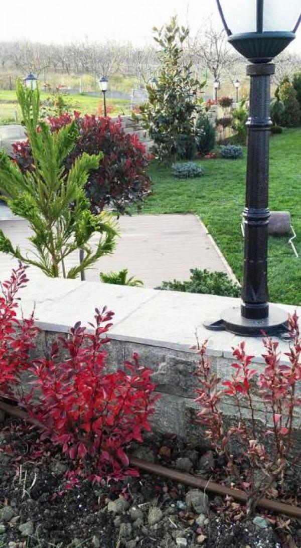 Снимка  от Добрин Захариев