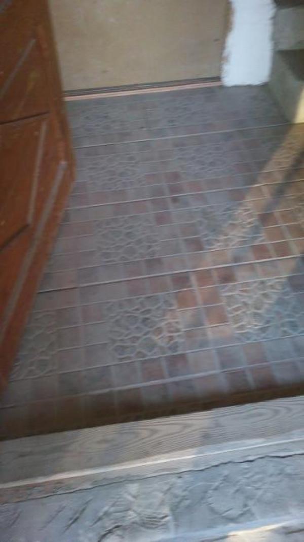 Снимка  от Димитър Димитров