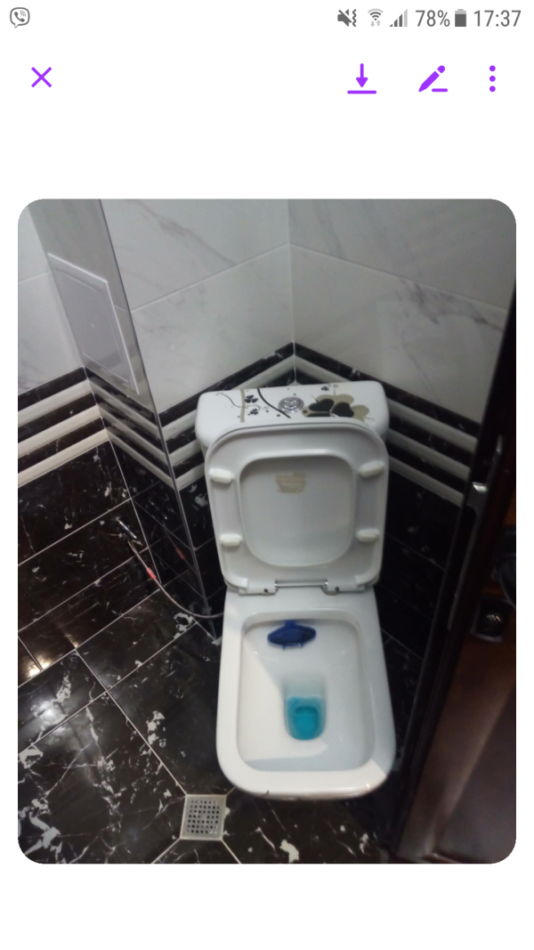 Screenshot_20241116-173731