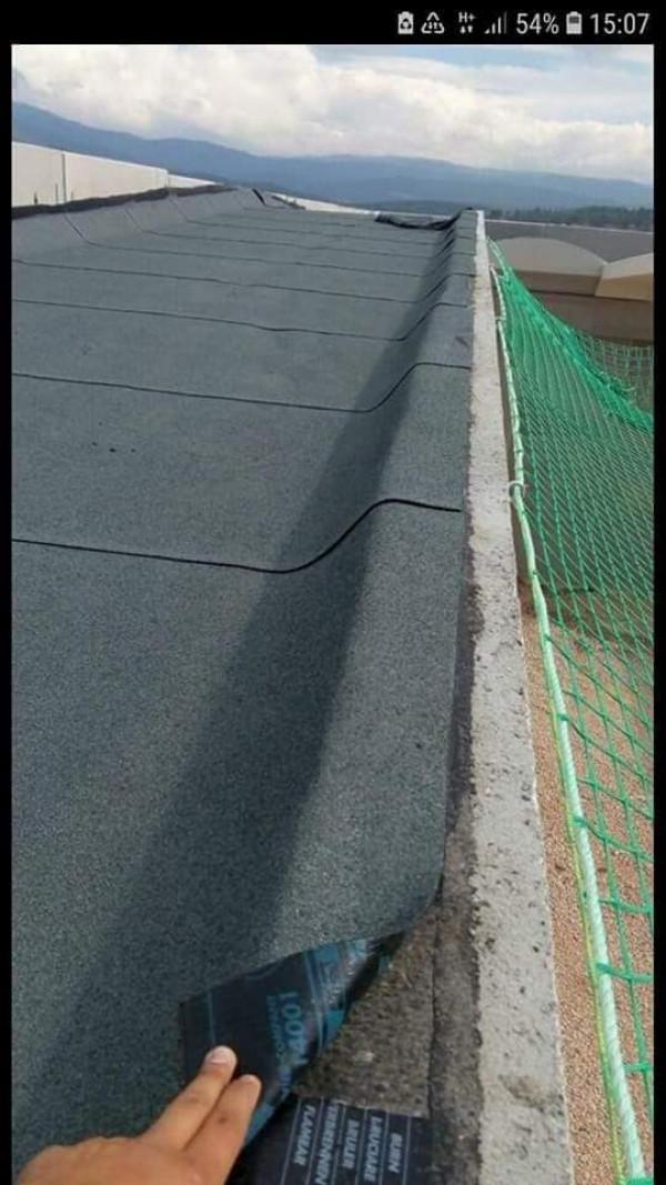 88080162-120486392872840-3665432636387491840-n