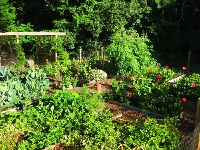 Зеленчукови лехи за автентична атмосфера