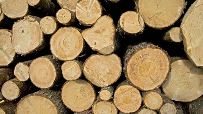 Ползвайте само изсъхнали дърва