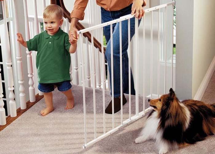 Домашният любимец не е детегледачка