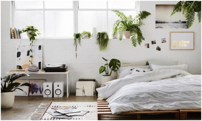 Устойчиви инструменти за декориране