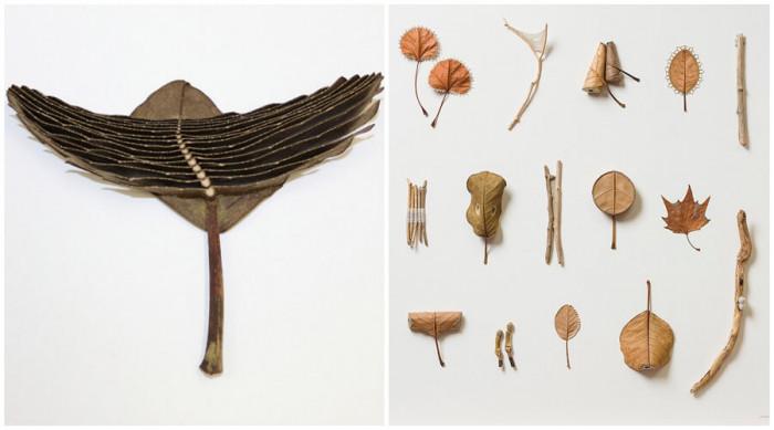 Многообразие в размерите, формите и цветовете