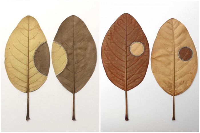 В началото листата се чупят постоянно