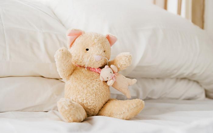 Какво трябва да знаем за любимите плюшени играчки?