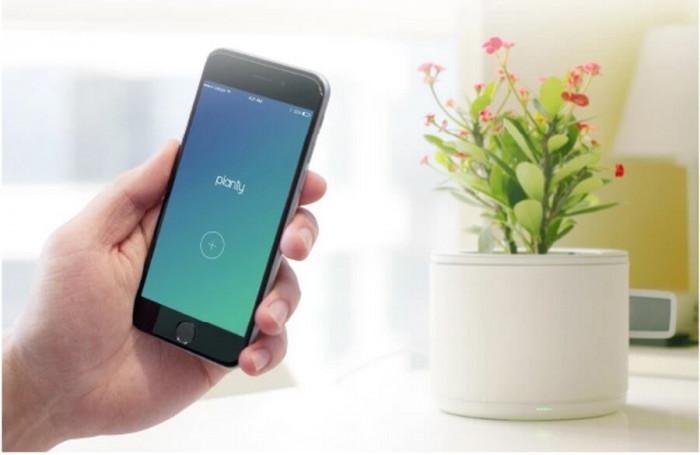 Интелигентната грижа за вашите растения