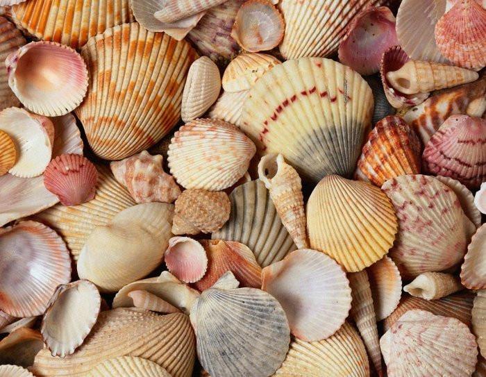 Допълнителна украса