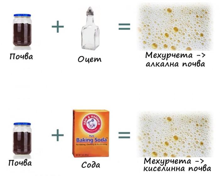 Тест на почвата за алкалност и киселинност