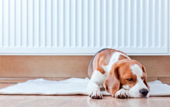 Оптимизирайте подредбата вкъщи