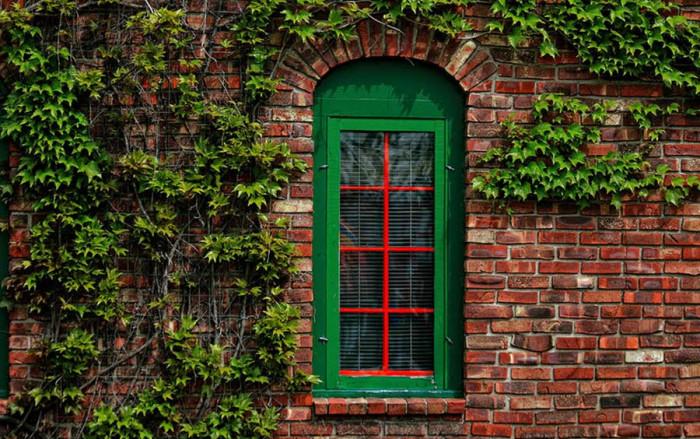 Зелено - за да докоснем природата