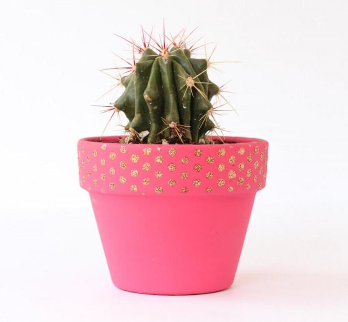 Звезден дъждец върху саксии