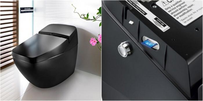 Музикална тоалетна