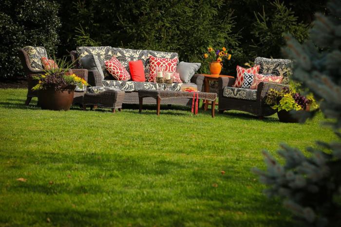 Засадете райграс