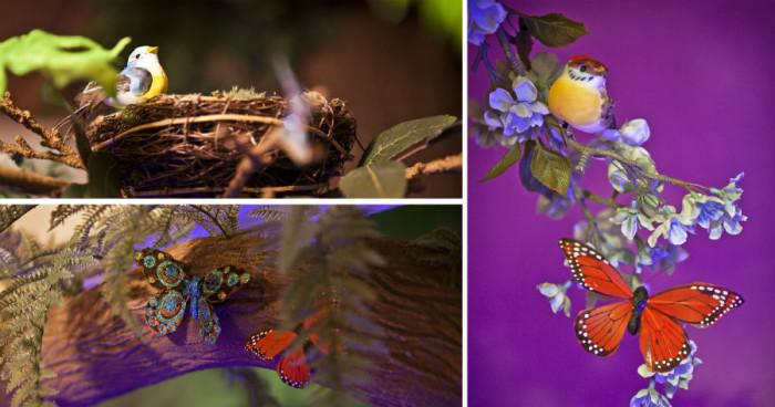 Клонки, цветенца, гнезда и птички