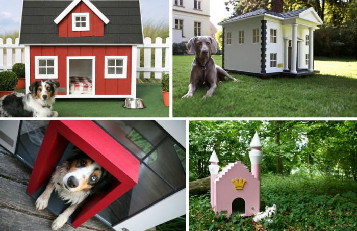 Последният писък на модата при кучешките колибки