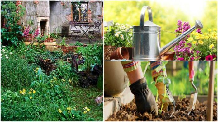 Как да докараме запустелия двор до “градинско състояние”?