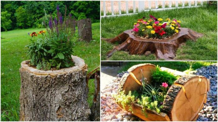 Пън в двора - да го превърнем в саксия!