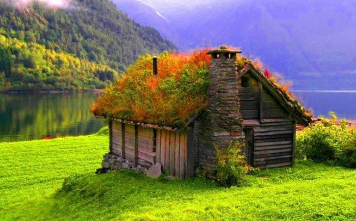 Зеленият покрив си струва