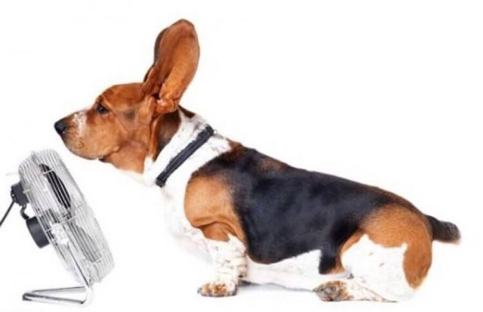 Проблем: Слаб въздушен поток от климатика