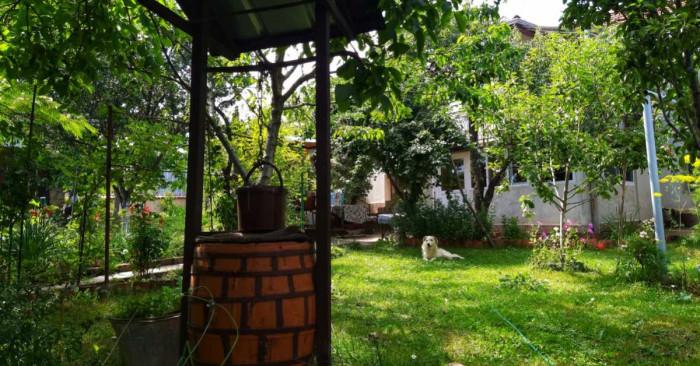 Декоративен кладенец!