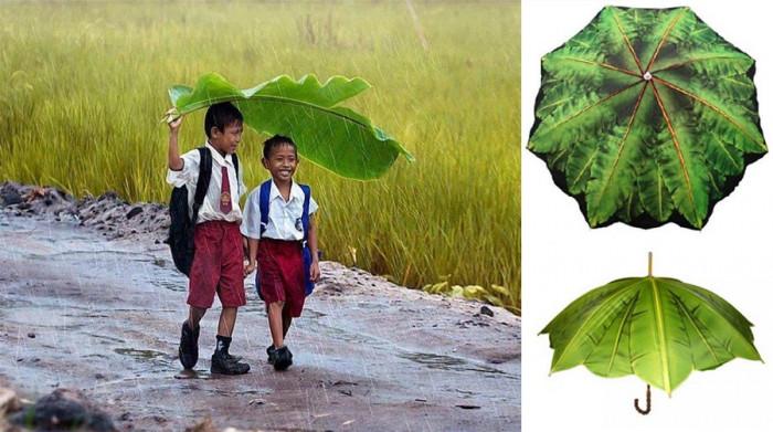 Подслон под листата