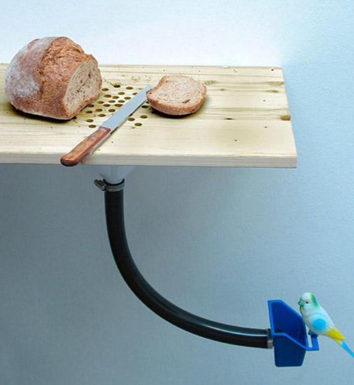 Споделете обяда си със своето пиленце