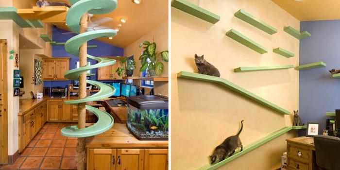 Котката – вашият дом е нейната крепост