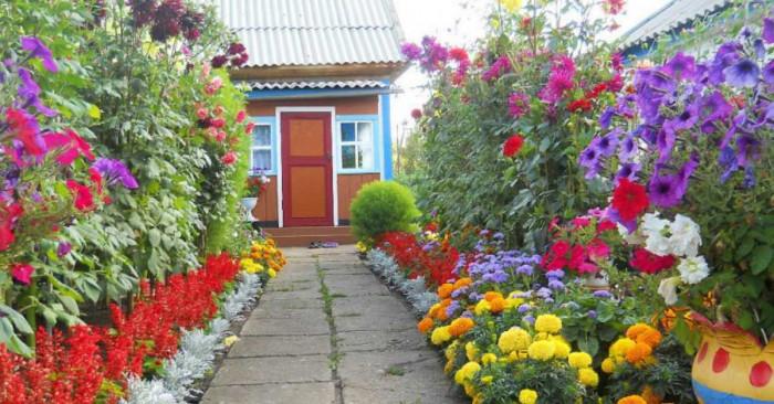 Садене на цветя от семена – всичко, което трябва да знаете