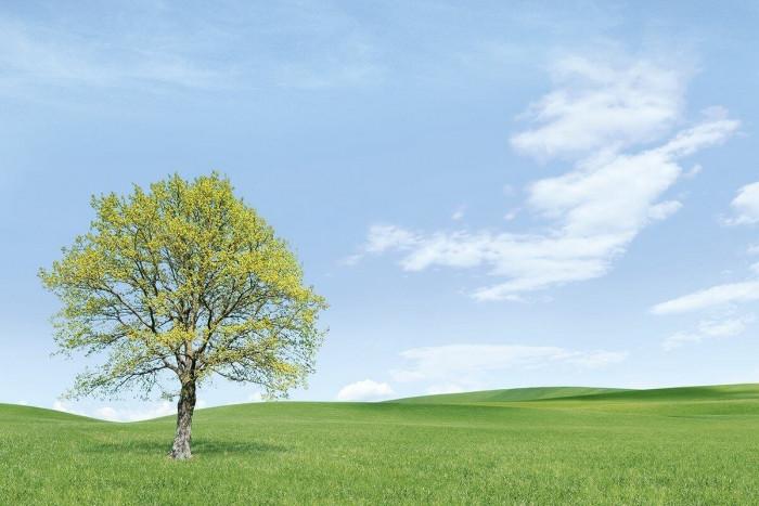 Енергия от въздуха – безплатна и неизчерпаема