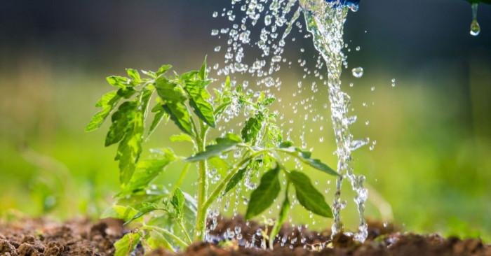 Определяме количеството вода