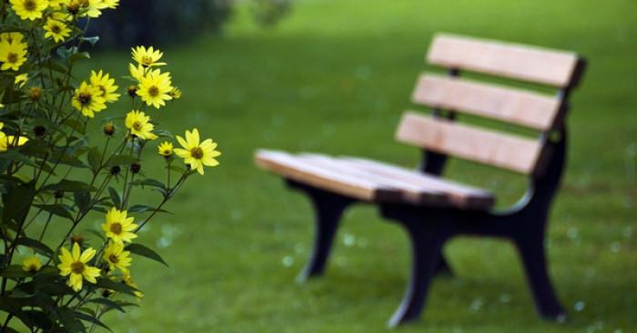 Защо в парковете и градските градини има пейки, а не столове?