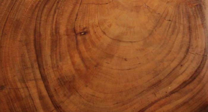 Масивно дърво