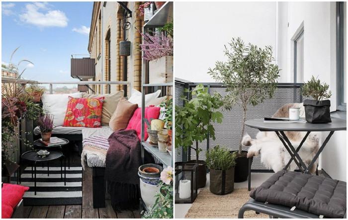 За любителя на цветя